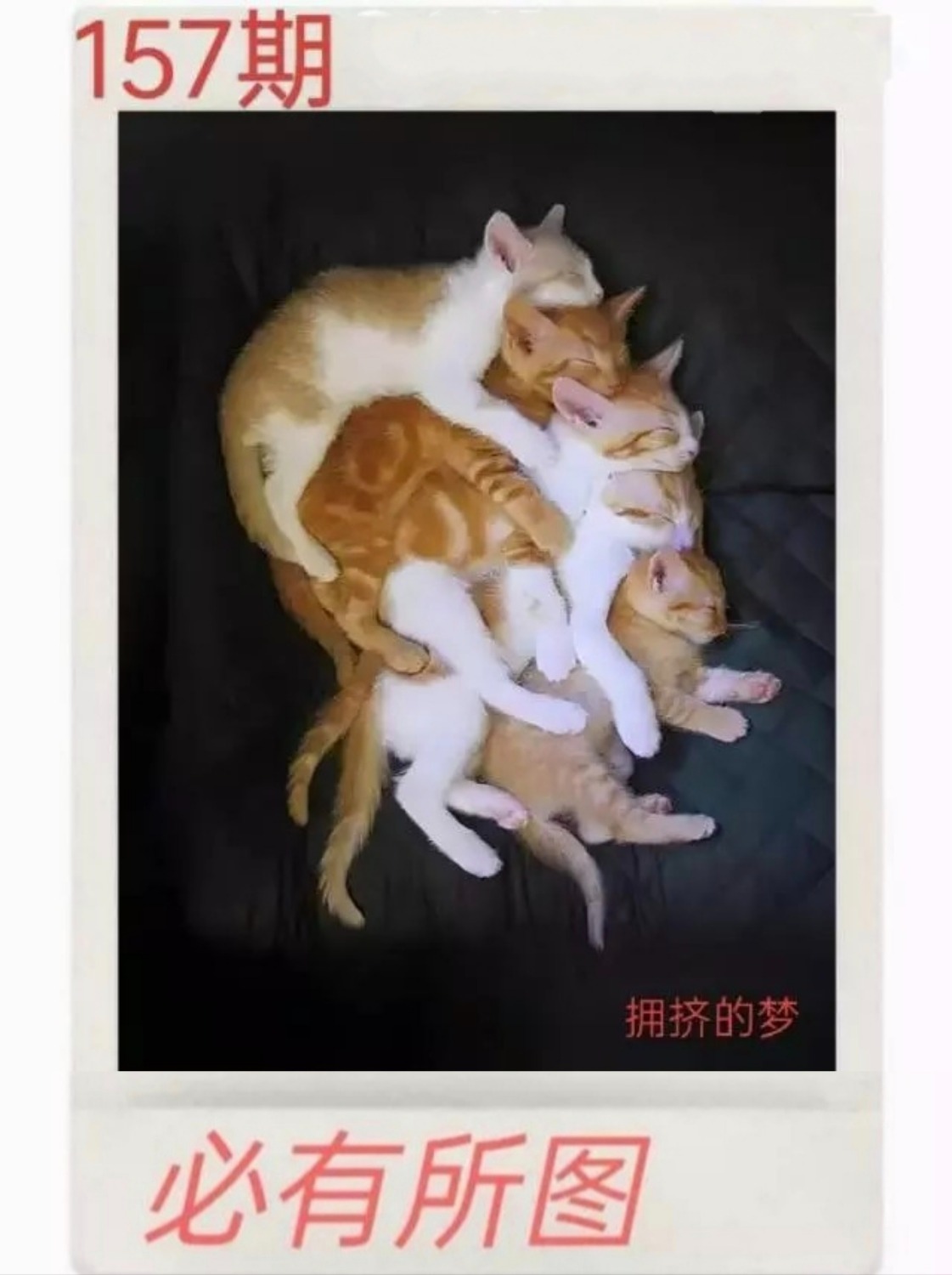1000051717.jpg