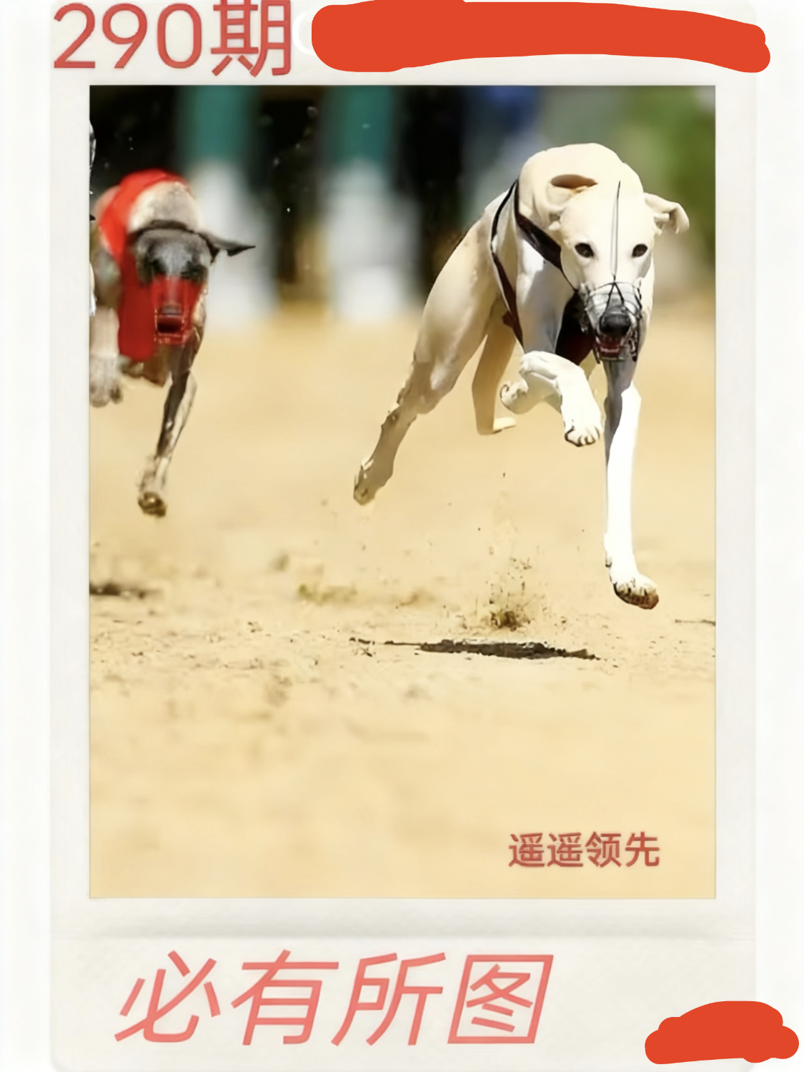IMG_20251017_160628.png
